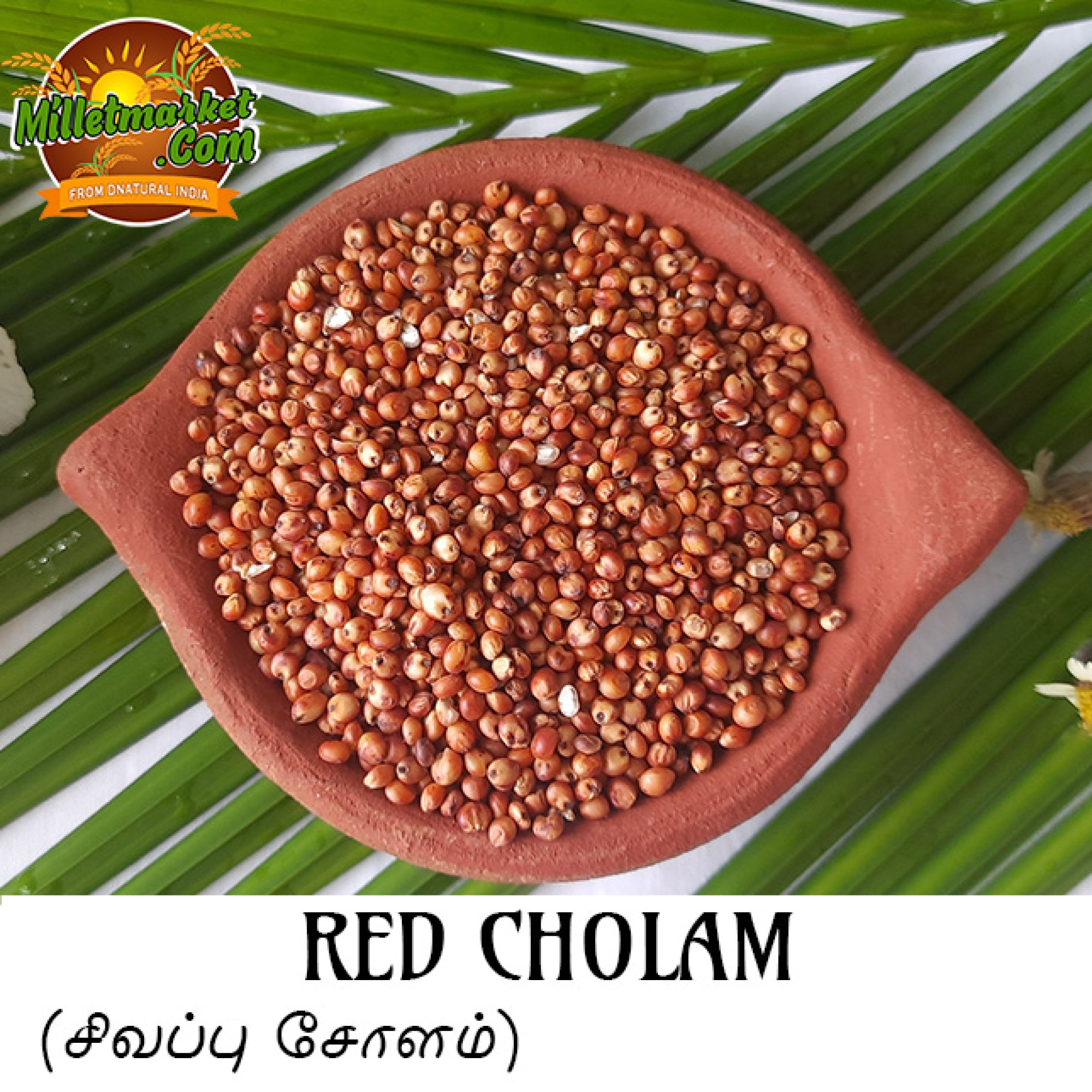 Red Cholam Online India Millets Online Indian Millets Online Red Cholam